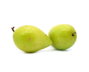 monkey apple