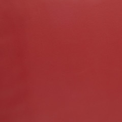 Fototapeta premium Red leather