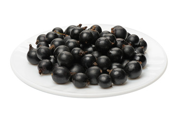 Blackcurrant