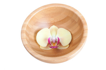 Orchid flower in a bamboo bowl, it is isolated