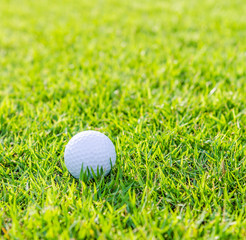 Golf ball on green grass