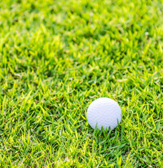 Golf ball on green grass