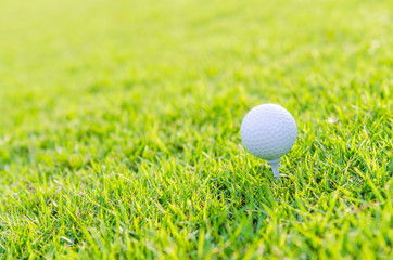 Golf ball on green grass