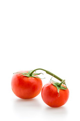 Tomato isolated on white