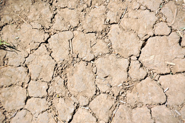 Cracked soil after drought texture background, close up