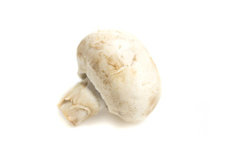 Mashrooms isolated on white background