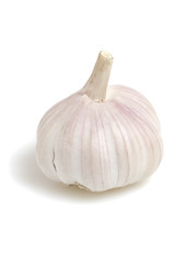Garlik isolated on white background