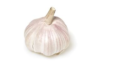 Garlik isolated on white background
