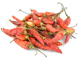 Dried chilli or chilli pepper isolated on white background cutou