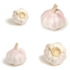 Garlik isolated on white background