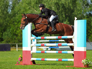A horse show jumper in mid-air