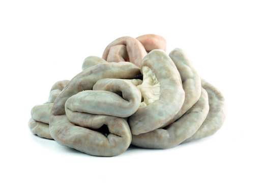 Chitterlings Boiled on white background