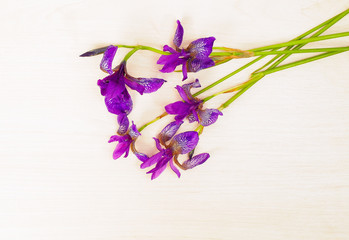 Beautiful bouquet of iris flower on lite wooden background