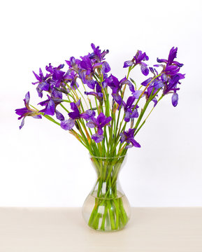Beautiful bouquet of iris flower in vase on table on white backg