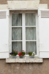 White window with shutters and flower pot