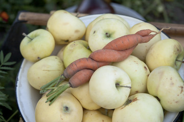 Fresh carrot and apples on the plate
