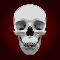 White skull