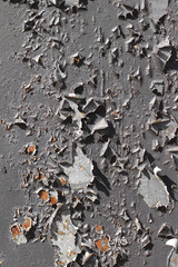 paint on the white background