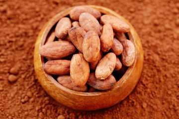cocoa beans