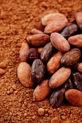 cocoa beans