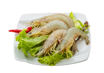 Raw tiger shrimps