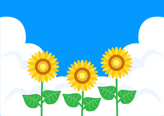 sunflower cloud summer