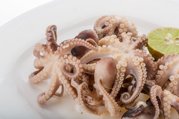 Boiled octopus