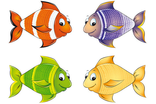 Zierfische Meeresfische Set