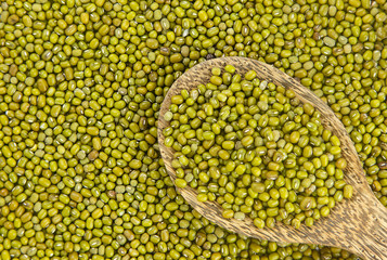 Raw mung  bean