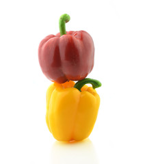 Colored paprika (pepper) isolated on a white background