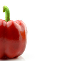 Colored paprika (pepper) isolated on a white background
