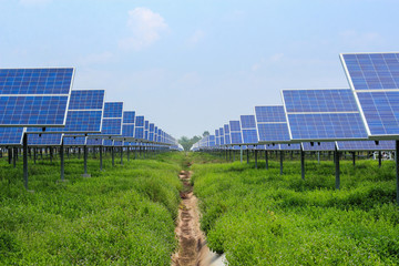 solar panel alternative energy from the sun