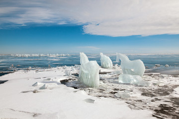 Horse, a sculpture from ice