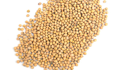 soybean  isolated on white background