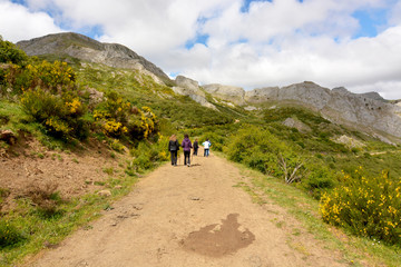 Obraz premium grupo de personas caminandon por un camino de montaña
