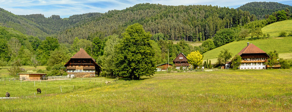 Fr&uuml;hling im Schwarzwald