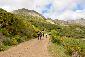 Fototapeta na wymiar grupo de personas caminando por un camino de montaña