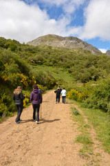 grupo de personas caminando por un camino de montaña