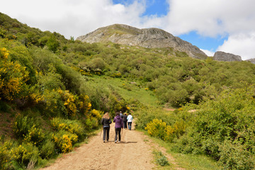 Obraz premium grupo de personas caminando por un camino de montaña