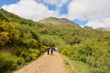 grupo de personas caminando por un camino de montaña