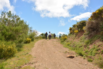 caminata por un camino en la montaña