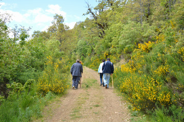 grupo de personas caminando por un camino en el monte