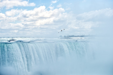 Niagara Falls - Sea gull soaring in heavy mist