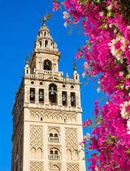 Fototapeta premium Bell tower Giralda, Seville, Spain