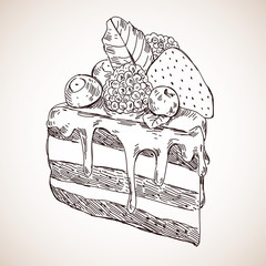 Vector hand drawn piece of cake with berries