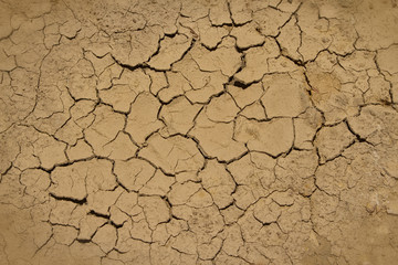Parched soil during drought and dry season