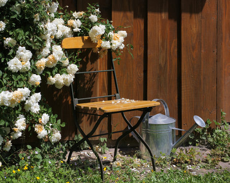 Garden chair with roses and watering can