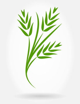 wheat ears vector background
