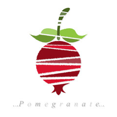 Vector of fruit, pomegranate icon on isolated white background
