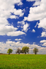 Naklejka premium Piękny wiejski krajobraz z białymi chmurami na niebie